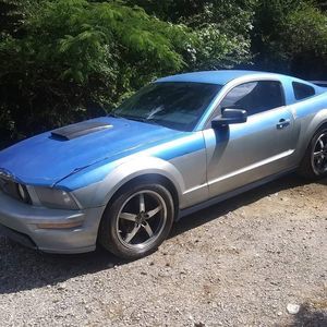 Meet your Posher, Wayne